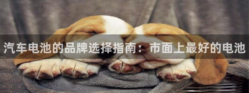 优发国际手机版唯一官网是什么：汽车电池的品牌选择指南：市面上最好的电池