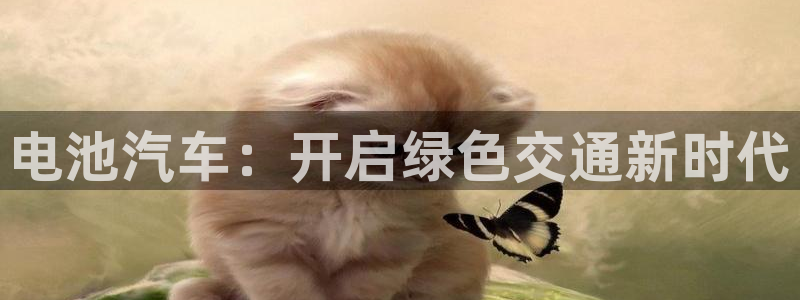 优发国际官方下载app