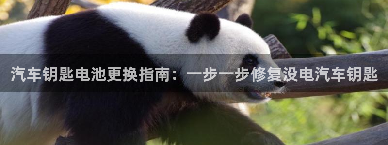 优发国际手机客户端怎么下载：汽车钥匙电池更换指南：一步一步修复没电汽车钥匙