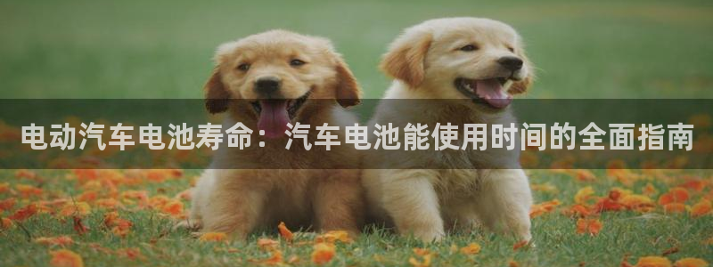 优发国际官方网手机版下载