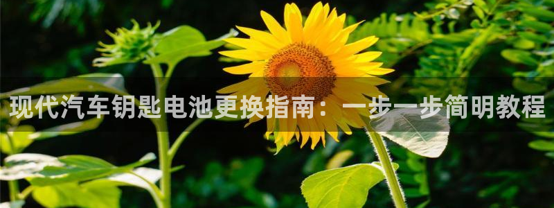 优发国际官方网手机版下载安卓