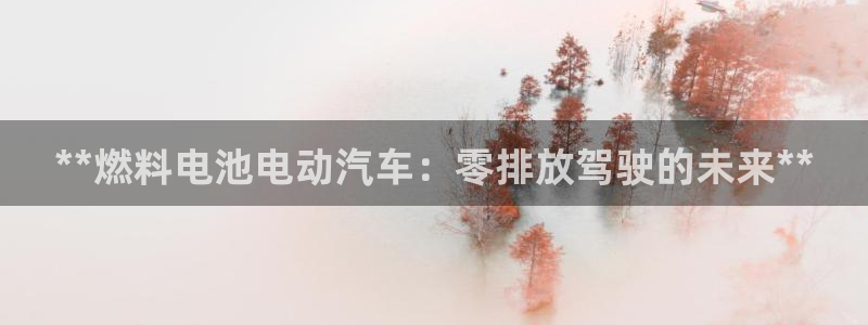 优发国际登陆u：**燃料电池电动汽车：零排放驾驶的未来**