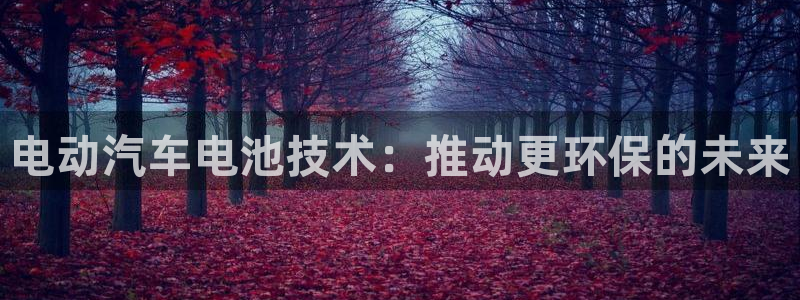 优发娱乐国际线上
