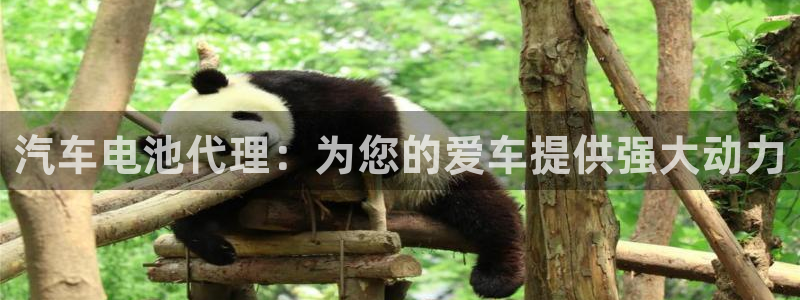 优发国际顶级：汽车电池代理：为您的爱车提供强大动力