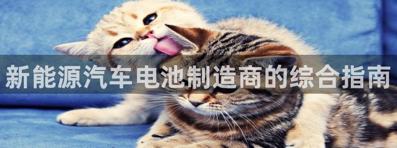 优发国际手机app下载地址