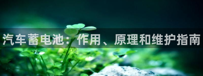优发国际官网,首页