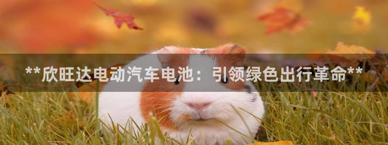 优发国际网官网17w8：**欣旺达电动汽车电池：引领绿色出行革命**
