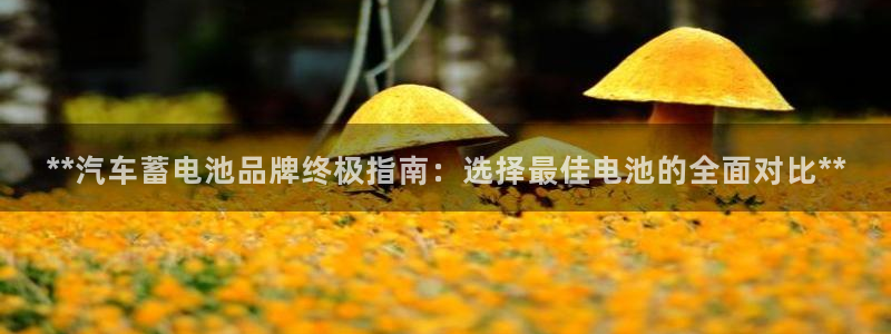优发国际可以玩吗