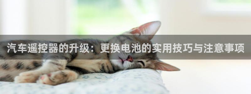 优发国际的官网是