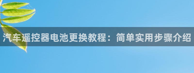 优发国际不出款：汽车遥控器电池更换教程：简单实用步骤介绍