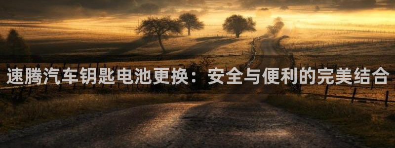优发国际平台18岁能做吗：速腾汽车钥匙电池更换：安全与便利的完美结合