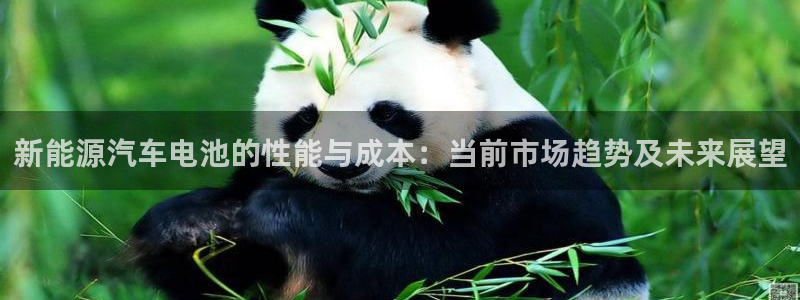 优发国际官网下载安装：新能源汽车电池的性能与成本：当前市场趋势及未来展望