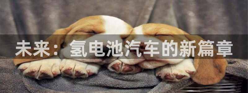 优发国际登录首页官网：未来：氢电池汽车的新篇章