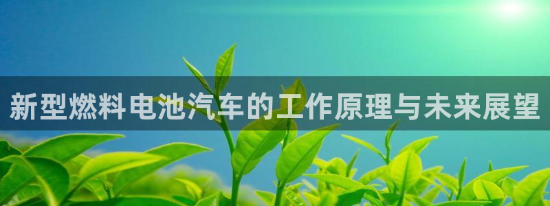 优发国际网站178：新型燃料电池汽车的工作原理与未来展望