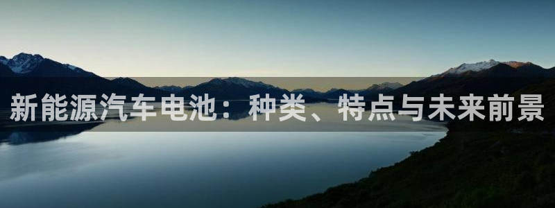 优发娱乐国际线上营业时间：新能源汽车电池：种类、特点与未来前景