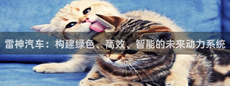 优发国际官方网平台是正品吗：雷神汽车：构建绿色、高效、智能的未来动力系统