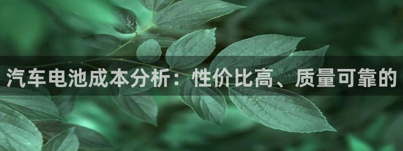 优发国际VIP网址：汽车电池成本分析：性价比高、质量可靠的