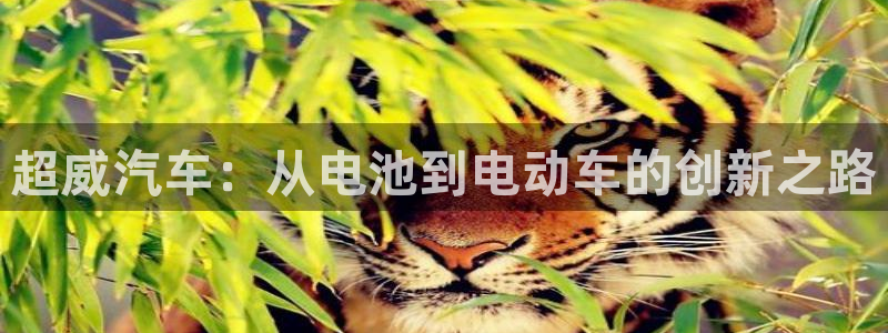 优发国际手机客户端下载安装苹果：超威汽车：从电池到电动车的创新之路