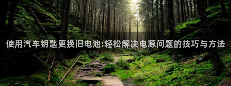 优发国际怎么样：使用汽车钥匙更换旧电池:轻松解决电源问题的技巧与方法