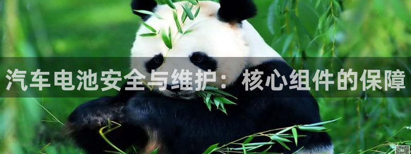 优发国际官网,首页：汽车电池安全与维护：核心组件的保障