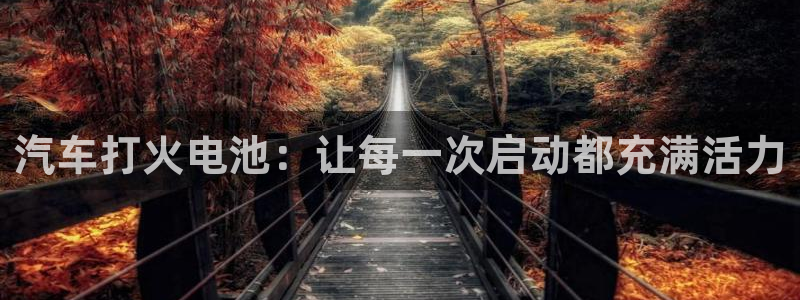 优发国际最新网站下载：汽车打火电池：让每一次启动都充满活力