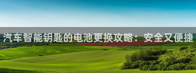 优发国际安卓版下载安装最新版：汽车智能钥匙的电池更换攻略：安全又便捷