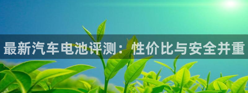 优发国际官网首页入口：最新汽车电池评测：性价比与安全并重