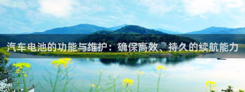 优发国际登录首页：汽车电池的功能与维护：确保高效、持久的续航能力