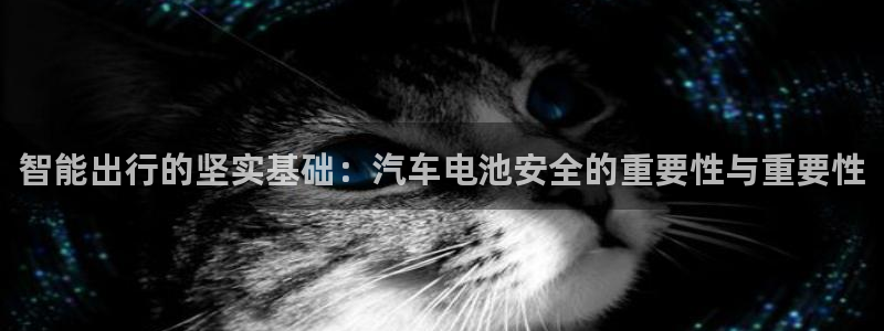 优发国际游戏n：智能出行的坚实基础：汽车电池安全的重要性与重要性