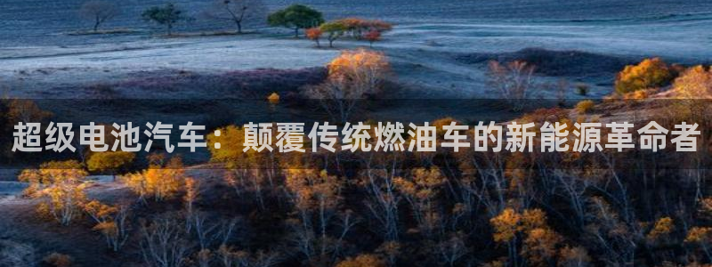 优发国际官方网平台