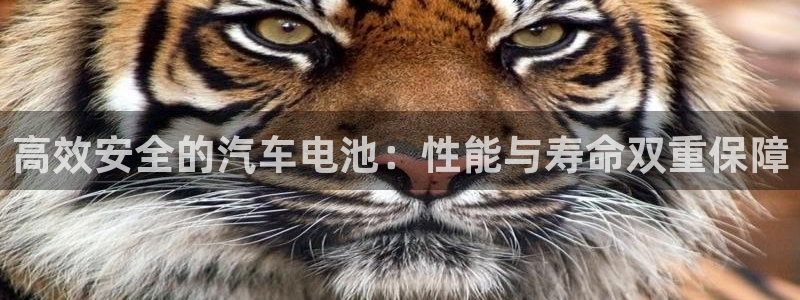 优发国际官网qy88