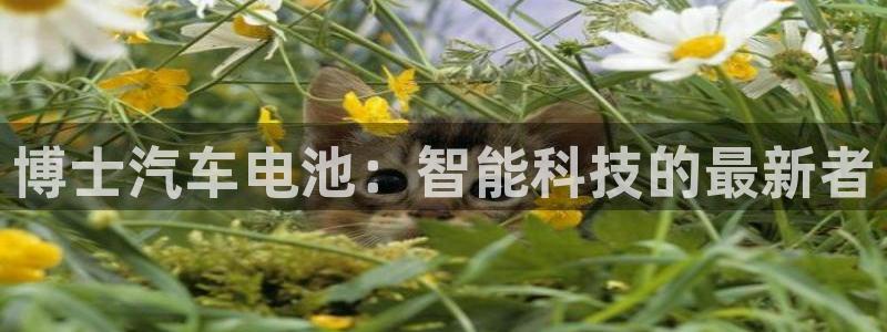 优发国际的官网是：博士汽车电池：智能科技的最新者