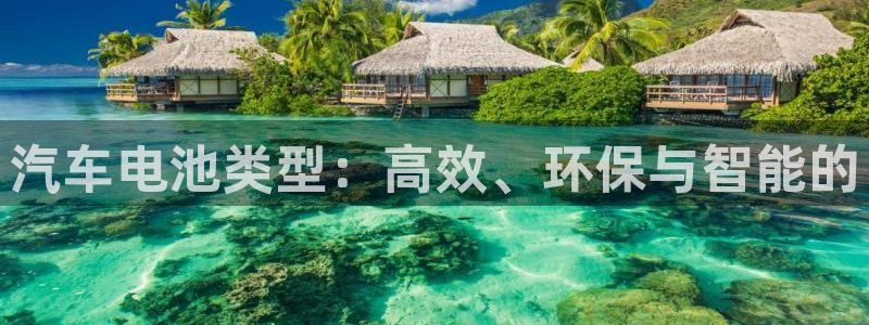 优发国际注册17：汽车电池类型：高效、环保与智能的