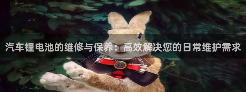 优发国际多少：汽车锂电池的维修与保养：高效解决您的日常维护需求