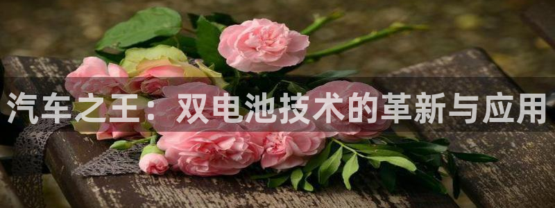 优发国际平台g80：汽车之王：双电池技术的革新与应用