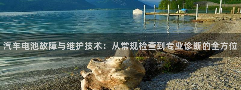 优发国际集团股份有限公司是国企吗：汽车电池故障与维护技术：从常规检查到专业诊断的全方位