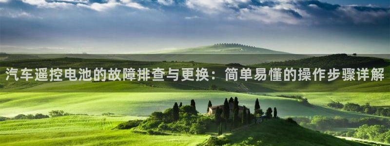 优发国际：汽车遥控电池的故障排查与更换：简单易懂的操作步骤详解