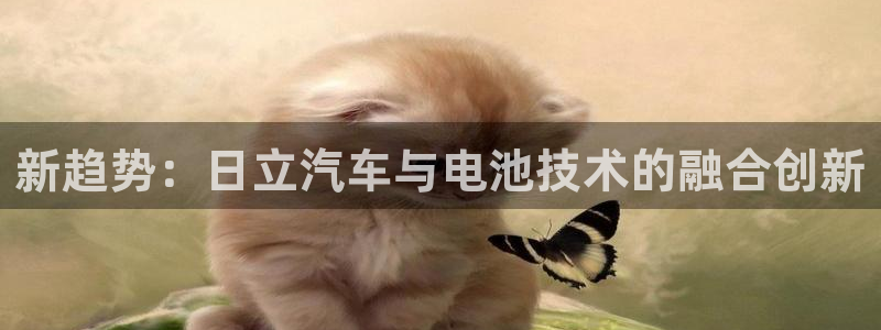 优发国际网官