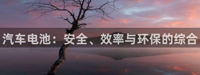 优发国际网官网17w80是什么：汽车电池
