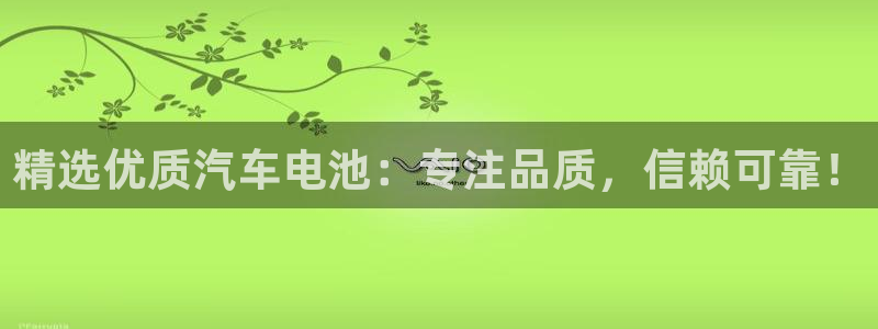优发国际app：精选优质汽车电池：专注品质，信赖可靠！