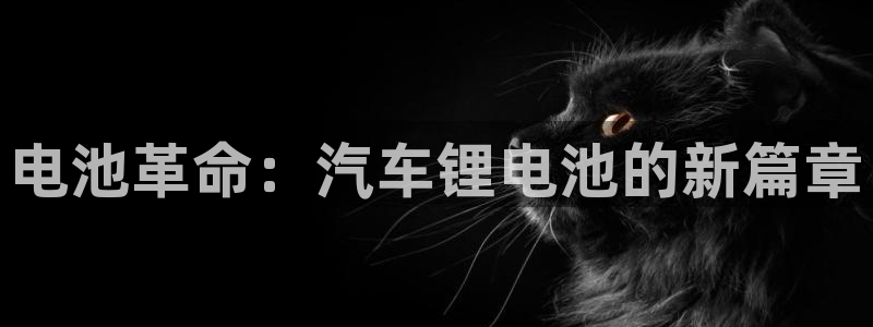 优发国际多少钱：电池革命：汽车锂电池的新篇章