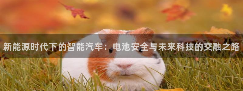 优发国际首页：新能源时代下的智能汽车：电池安全与未来科技的交融之路