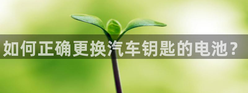 优发国际是大平台吗：如何正确更换汽车钥匙的电池？