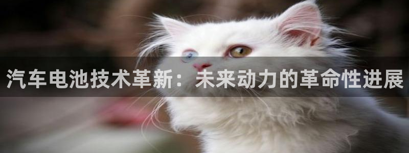 优发国际官方网平台是正品吗