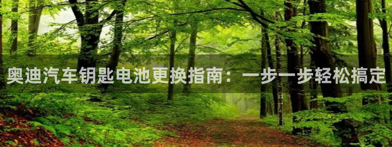 优发国际是什么