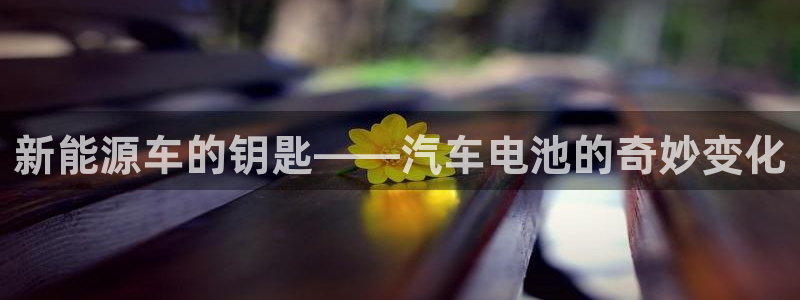 优发国际平台g8