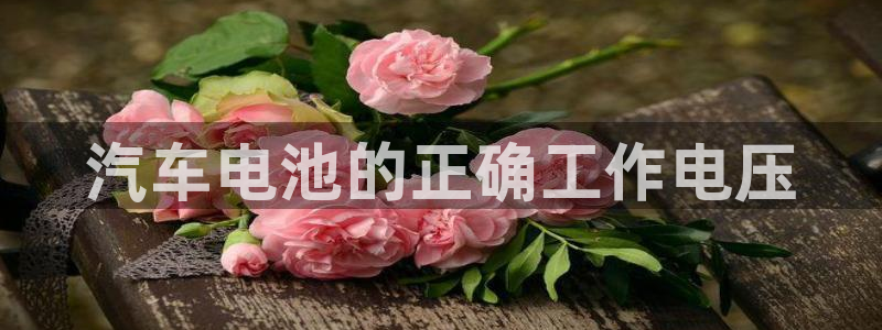 优发国际下载app