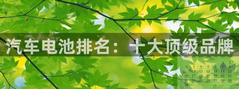 优发国际是大平台吗还是小平