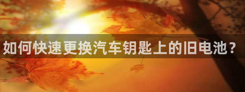 优发国际这个平台怎么样啊：如何快速更换汽车钥匙上的旧电池？