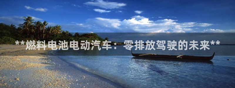 优发国际是真的吗：**燃料电池电动汽车：零排放驾驶的未来**